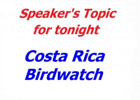 Costa Rica Birdwatch